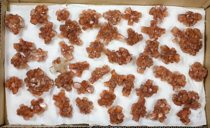 Lot: Assorted Twinned Aragonite Clusters - Pieces #134147